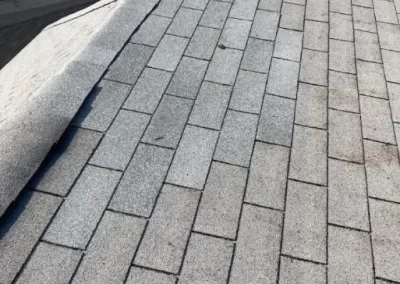 Professional-Roofing-Service